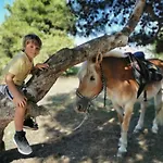 Horse Country Congress & - Ribot 4*