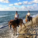 Horse Country Congress & - Ribot 4*