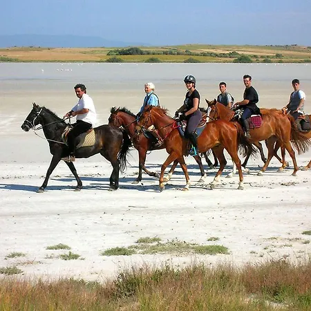 Resort Horse Country Congress & - Ribot