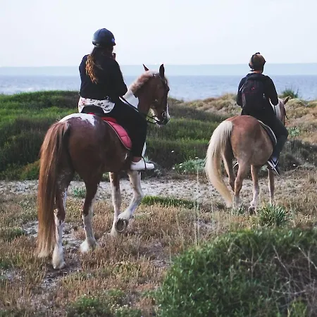 Horse Country Congress & - Ribot 4* Arborea