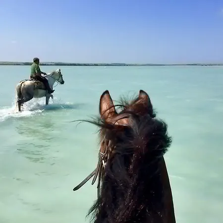 Horse Country Congress & - Ribot Resort 4*