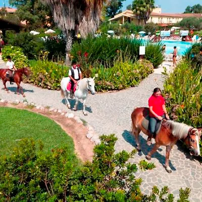 Horse Country Congress & - Ribot Arborea