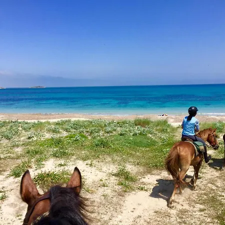 Horse Country Congress & - Ribot Resort