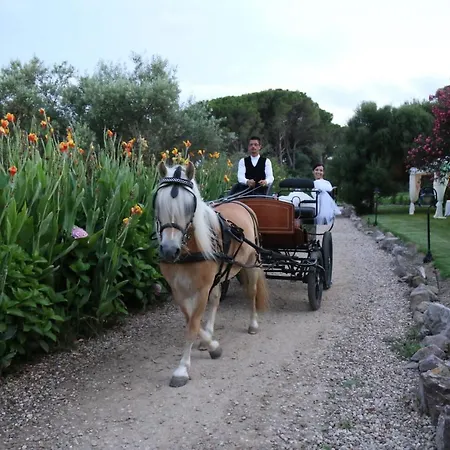 Resort Horse Country Congress & - Ribot