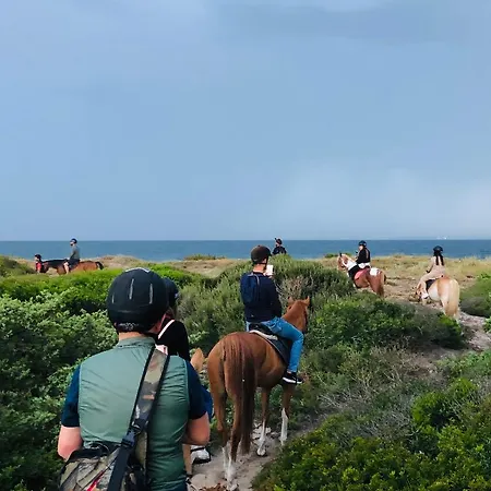 Resort Horse Country Congress & - Ribot Arborea