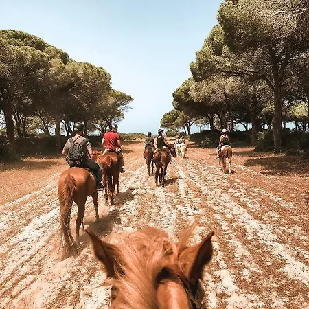 Horse Country Congress & - Ribot Resort
