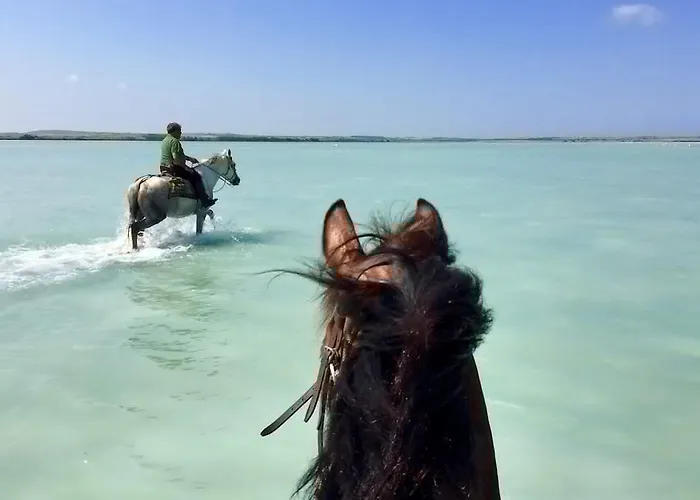 Horse Country Congress & - Ribot Resort 4*