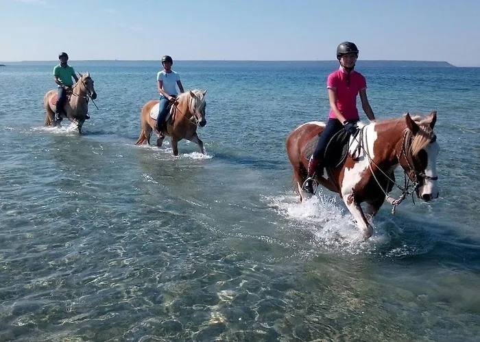 Horse Country Congress & - Ribot Resort Arborea