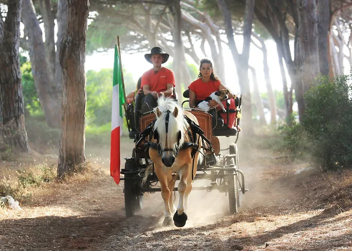 Resort Horse Country Congress & - Ribot Arborea