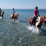 Horse Country Congress & - Ribot Semesteranläggning (resort) Arborea