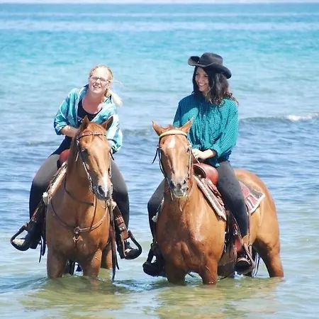 Θέρετρο Horse Country Congress & - Ribot