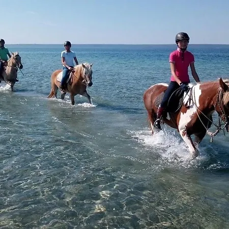 Horse Country Congress & - Ribot Θέρετρο Arborea