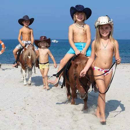 Θέρετρο Horse Country Congress & - Ribot 4*