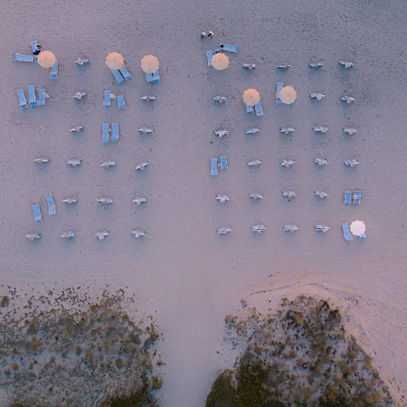 Horse Country Congress & - Ribot Arborea