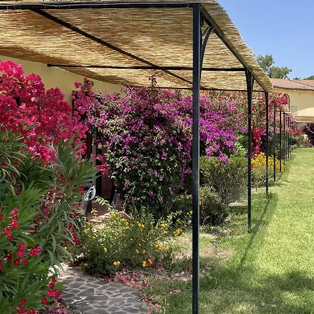 Horse Country Congress & - Ribot