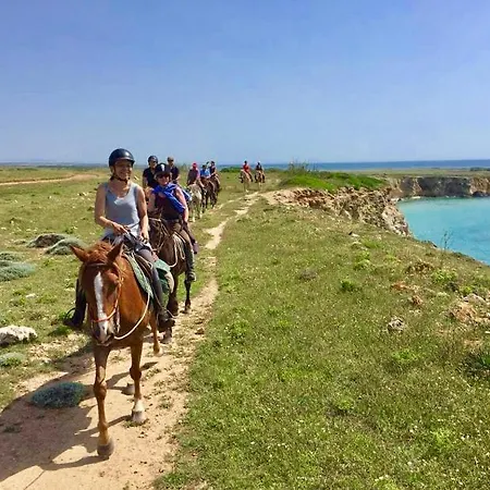 Θέρετρο Horse Country Congress & - Ribot 4*