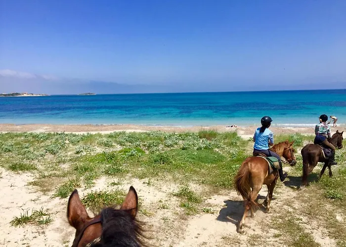Horse Country Congress & - Ribot Resort