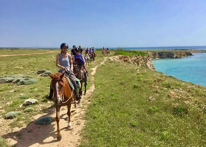 Üdülőközpont Horse Country Congress & - Ribot 4*