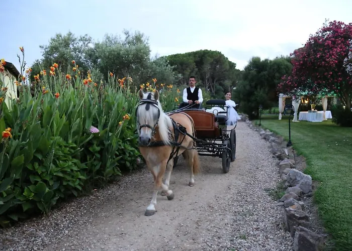 Resort Horse Country Congress & - Ribot